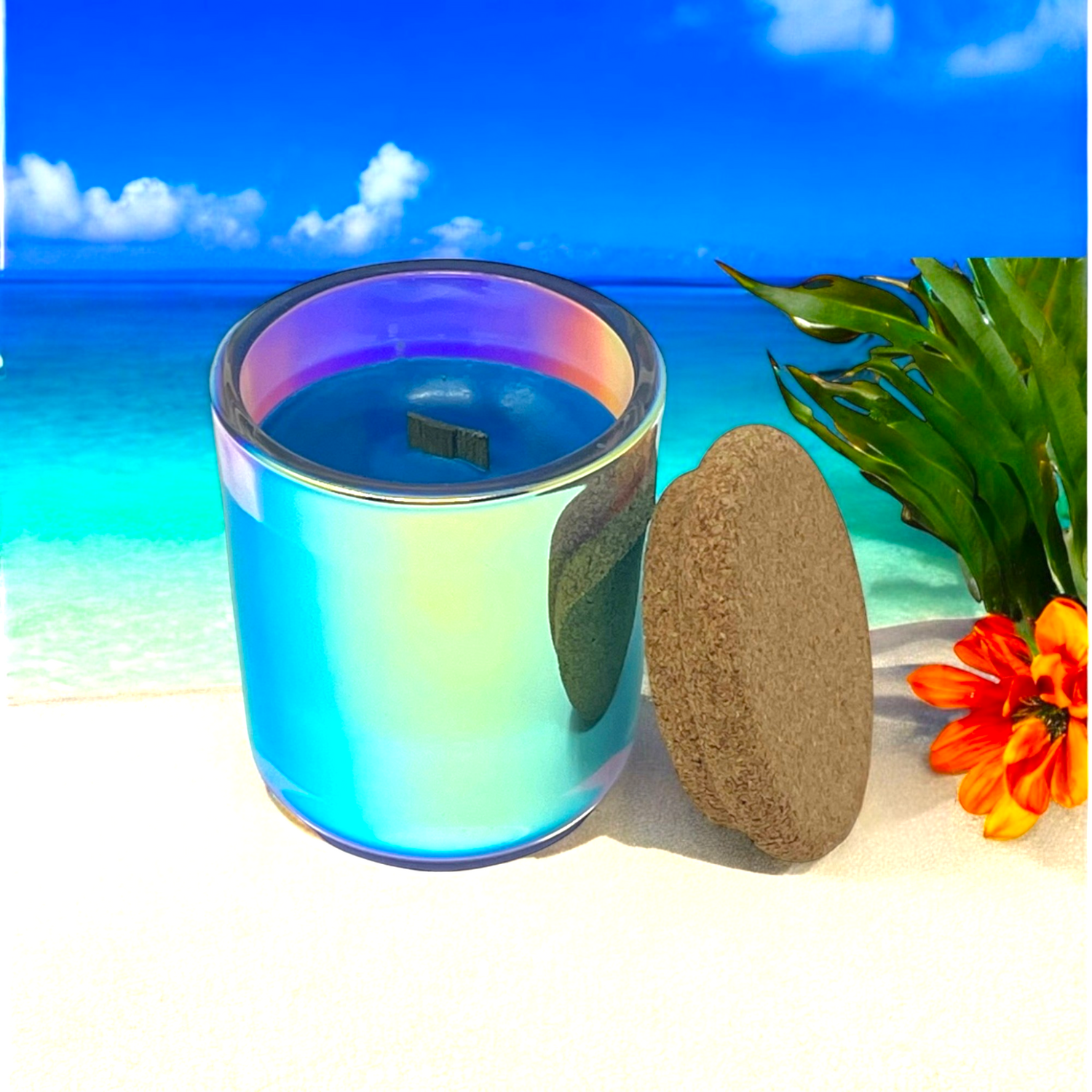 Chameleon with Lid Beach