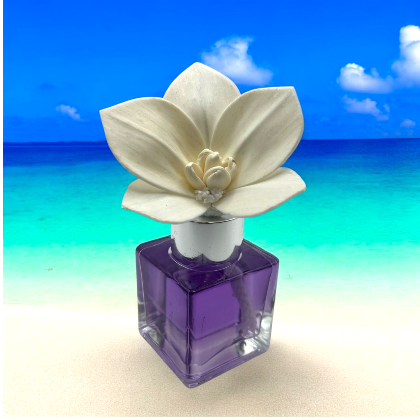 Purple Mini Diffuser