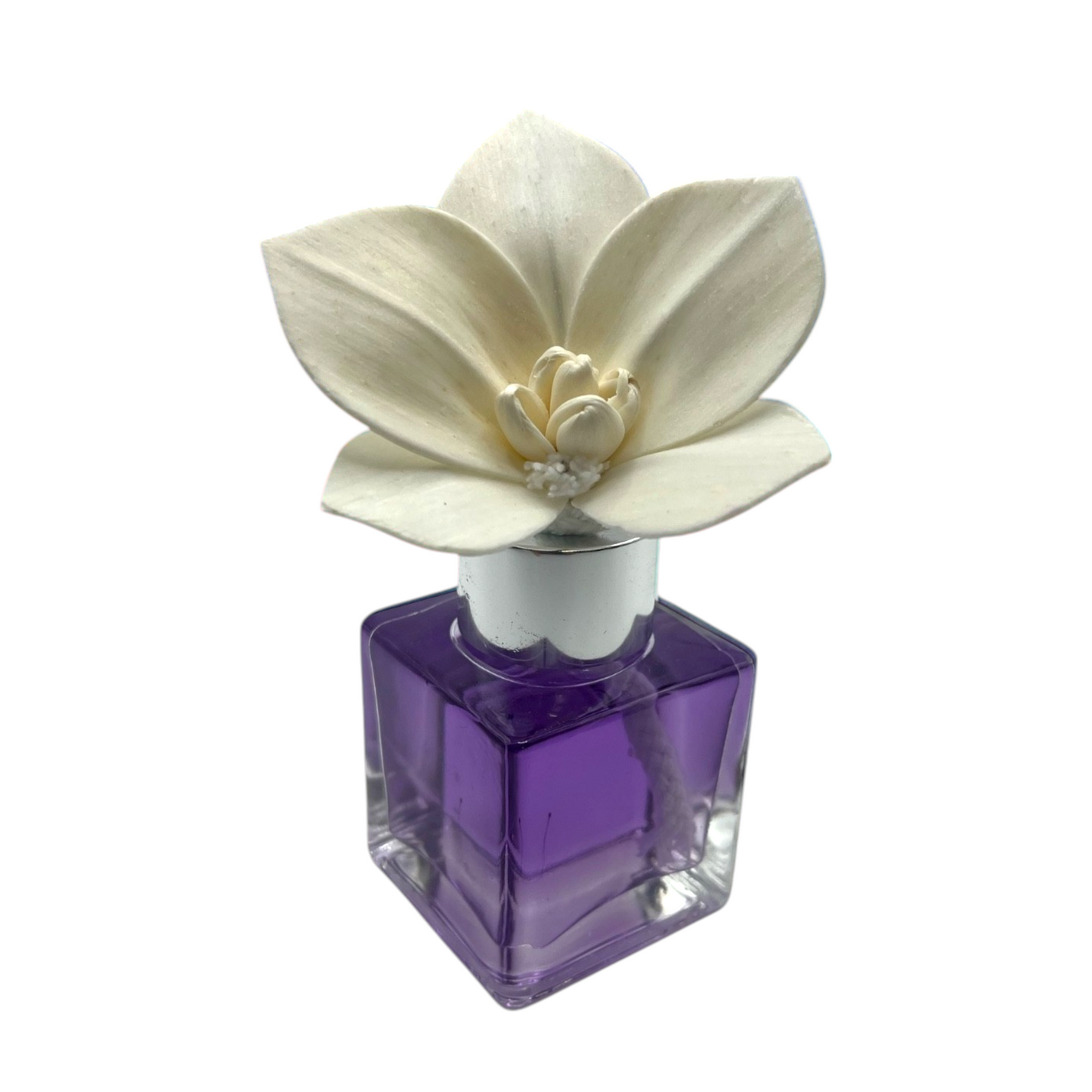 Purple Mini Diffuser