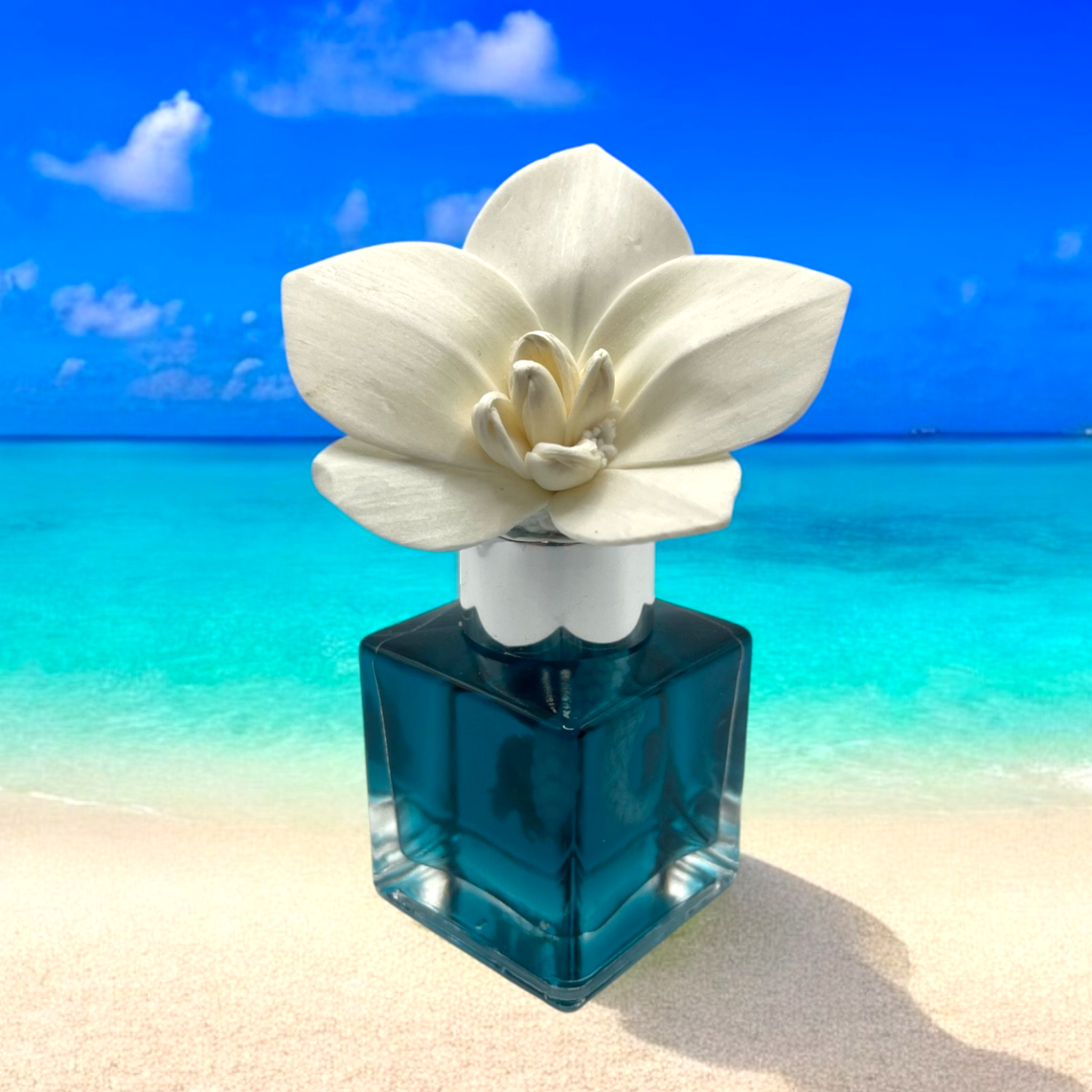 Teal Mini Diffuser